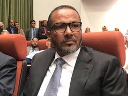 رئيس الاتحاد الوطني لارباب العمل الموريتانيين
