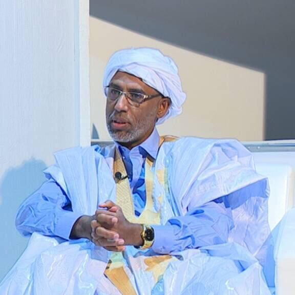 الدكتور الفقيه الشيخ ولد الزين ولد الامام