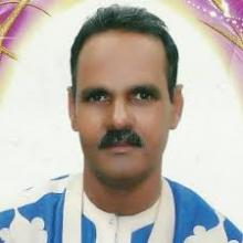 حبيب الله ولد احمد
