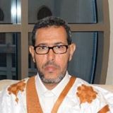 زعيم المعارضة الديمقراطية: الحسن ولد محمد 