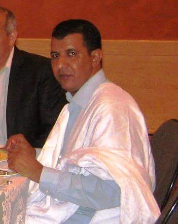 محمد محمود ابو المعالي 