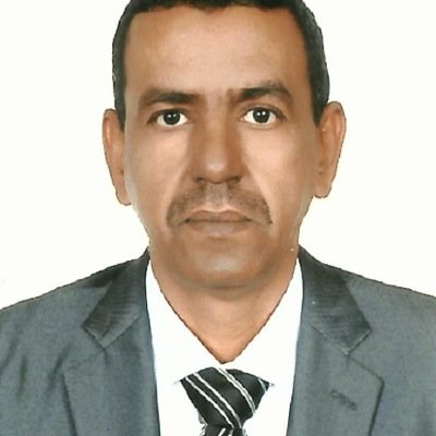 محمد عبد الرحمن ولد الزوين: مدير صحيفة السفير 