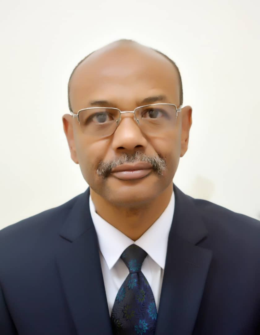رئيس المجلس الجهوي لولاية الحوض الشرقي: محمدو ولد التيجاني