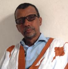 المامون ولد الشيخ ولد محمد الغيث