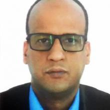 المهندس: الميمون أمينوه